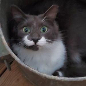 Meet your Posher, Holly